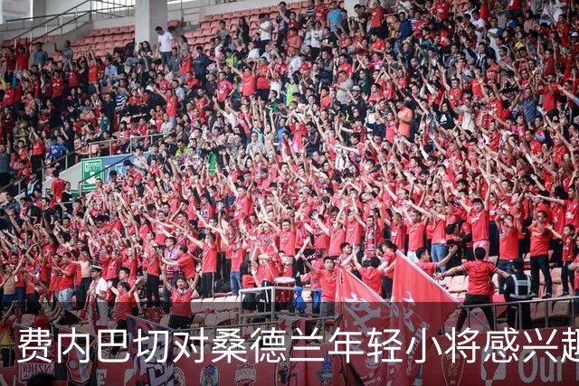 费内巴切对桑德兰年轻小将感兴趣，冬季转会市场将如何发展？